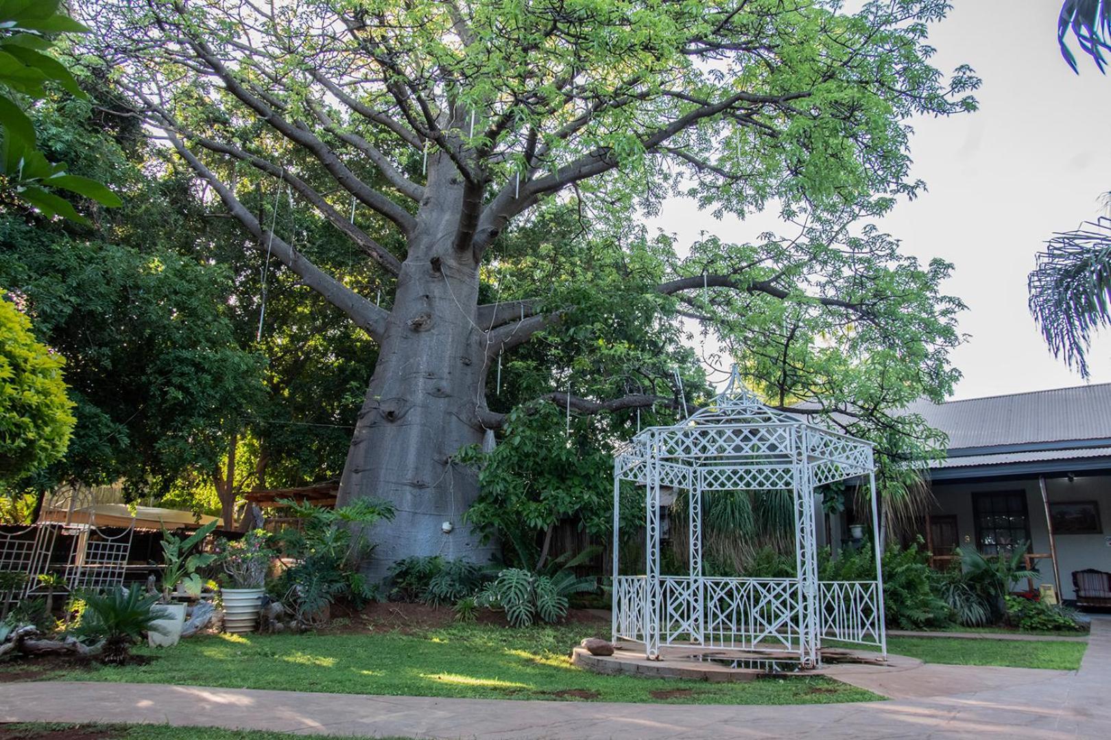 Dei Gratia Guest House Musina Exterior photo